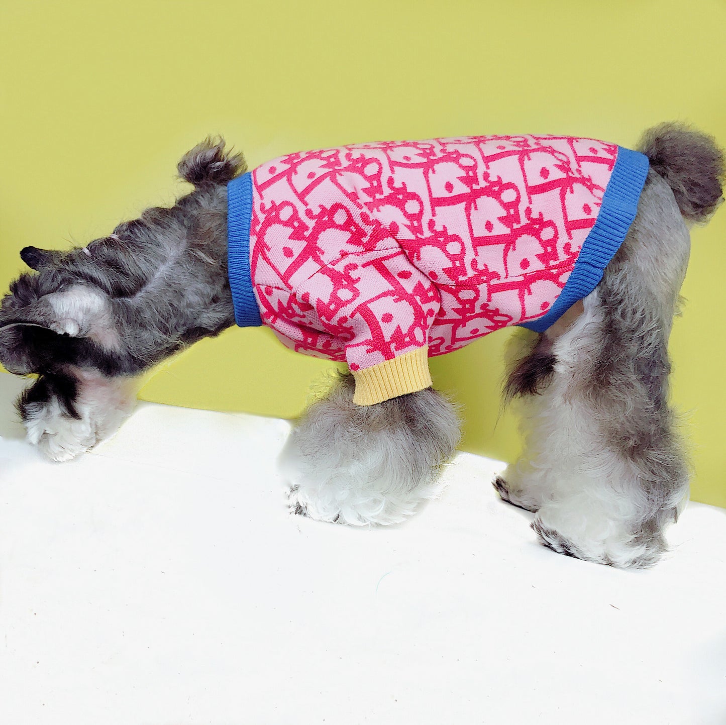 Dogior Sweater