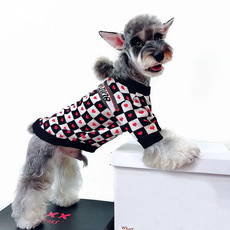 Stole My Heart Dogior Sweater