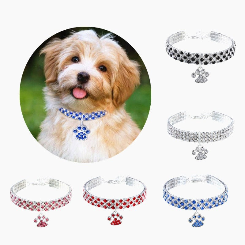 Beverly Hills Bling Pawprint Pendant Collar