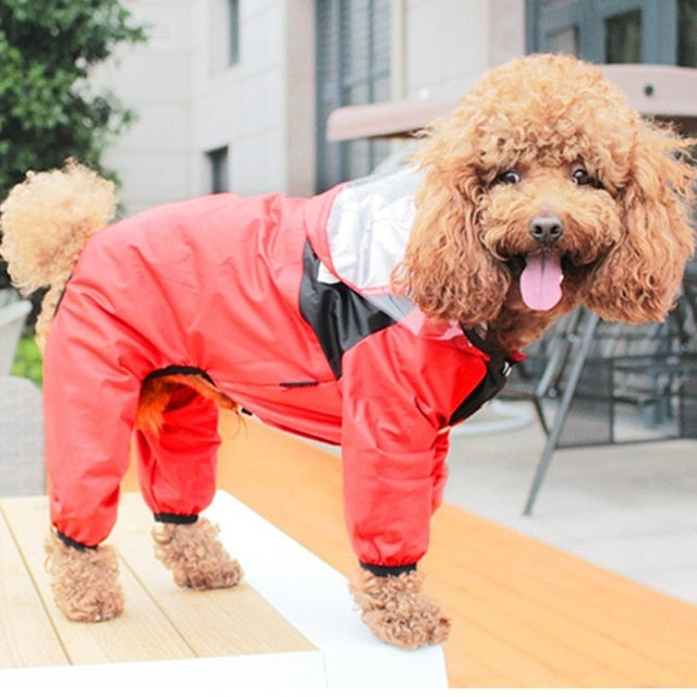 Dog Face Waterproof Raincoat